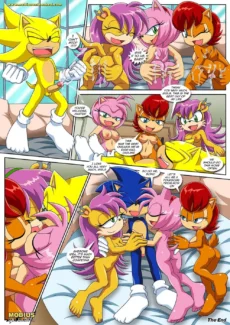 Palcomix- Sonic Project XXX 4 (31)