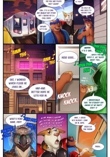 Bodega Cat008