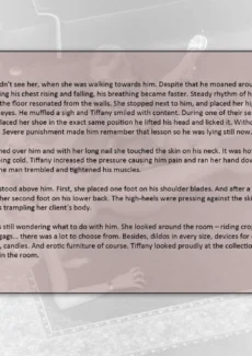 The Office Bimbo Part 3 (55)