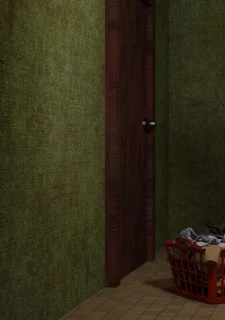 Good Wife- VforVendettaV (3)