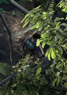 Vik3DX- Jungle Fun (2)