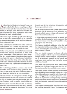 Allan Aldiss – Arabian Revenge 2 (8)
