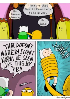 El Finn008