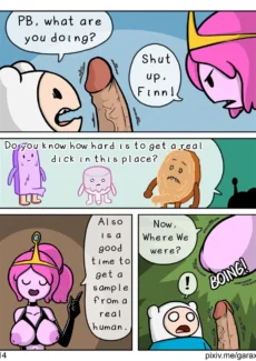 El Finn015