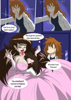 Own Princess013