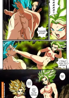 Saiyan Love027