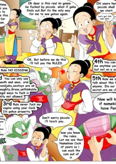 Chichi’s Saga006