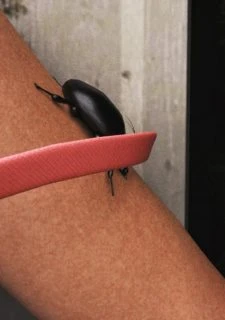 Mr Roachcock’s Bug Zapper-part 3 (67)