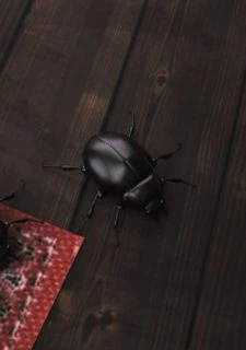 Mr Roachcock’s Bug Zapper-part 3 (82)