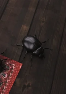 Mr Roachcock’s Bug Zapper-part 3 (82)