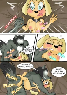 Brandy & Mr Whiskers010