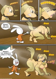 Brandy & Mr Whiskers024