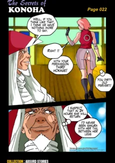 The Secrets of Konoha (23)