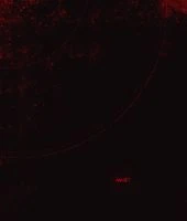 the-invitation-chapter-2-by-incase (35)