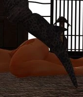 3DMidnight- Battle Arena- (43)