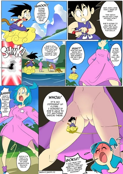 Bulma’s Missing Balls – Dragon Ball by Dangerking11