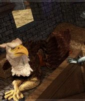 Mongo Bongo- Bretonnia Knight – The Gryphon Knight (6)