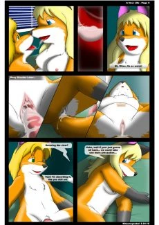 Kitsune Youkai- A New Life (10)