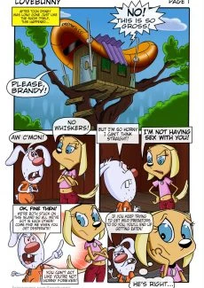 FairyCosmo- Love Bunny 3
