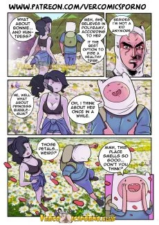 Ero-Mantic- Will you go out with me [Adventure Time] (14)