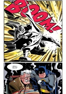 Frank Miller- The Batman Adventures- Mad Love (16)