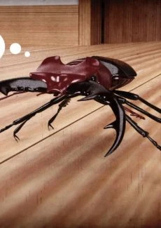 Casgra- Mr. Roachcock’s Bug Zapper Part 2 (3)