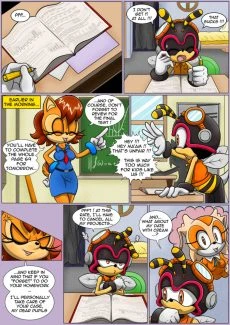 RaianOnzika- Homework [Sonic The Hedgehog] (3)