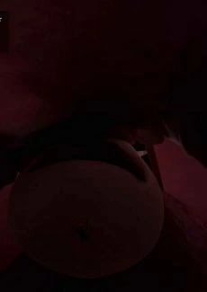 Johnny Scribe- Panty Raid 3 (35)