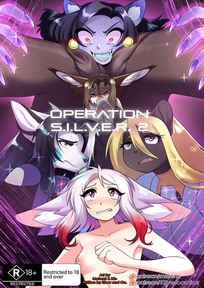Operation S.I.L.V.E.R. 2- Matemi