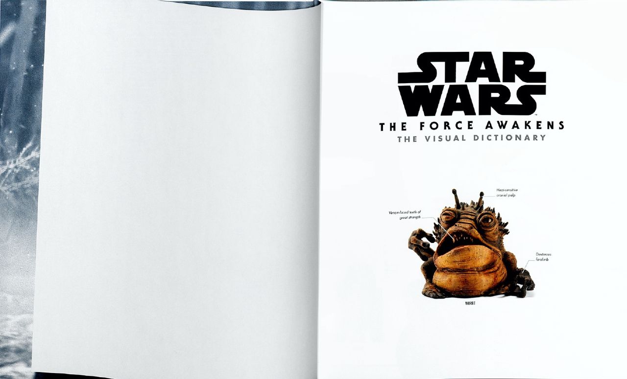 The Force Awakens- The Visual Dictionary - Star Wars | 18+ Porn Comics