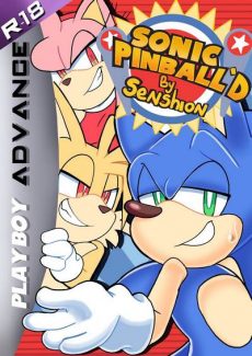senshion- Sonic Pinball’d [sonic the hedgehog]- info