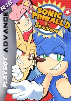senshion- Sonic Pinball’d [sonic the hedgehog]- info