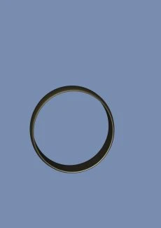 Magical Ring of Possession (33)