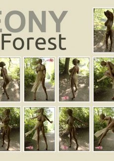 LEONY FOREST