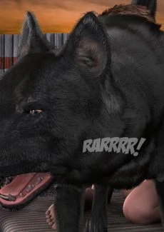 Sally & Bark (62)