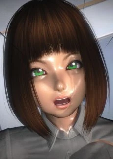 Shikai Ge Remake 3D (63)