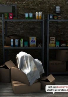 Tornado Shelter (11)