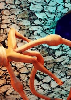 Dead Tide 05 (53)