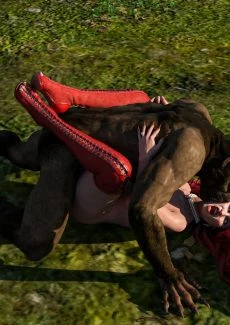 Little Red Riding Hood (12)