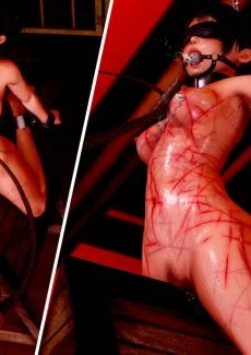 Pain & pleasure (52)
