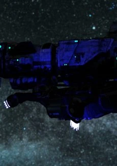 Space Pirate (11)
