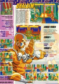 Street Fighter II (12)