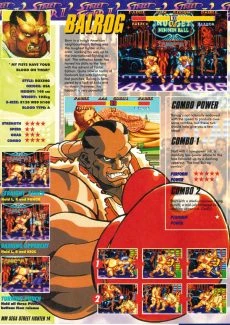 Street Fighter II (14)
