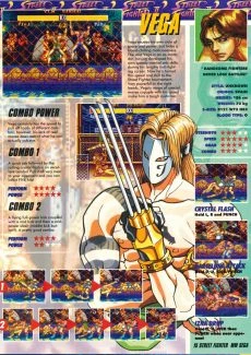Street Fighter II (15)