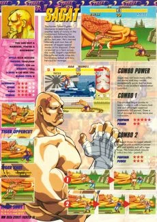 Street Fighter II (16)