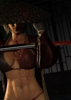 The Lusty Ronin (13)