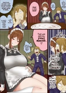 maid27e