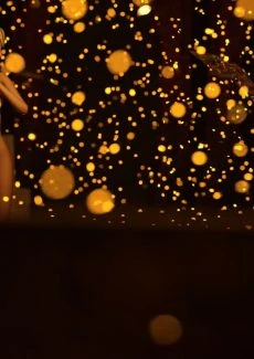 Golden Attic 1 (5)