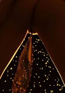 Golden Attic 1 (7)
