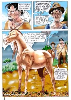 hp-galinha-pg03